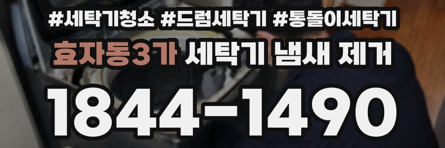 효자동3가 세탁기 냄새 제거