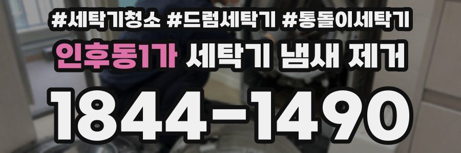 인후동1가 세탁기 냄새 제거
