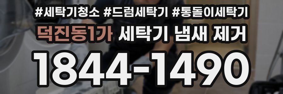 덕진동1가 세탁기 냄새 제거