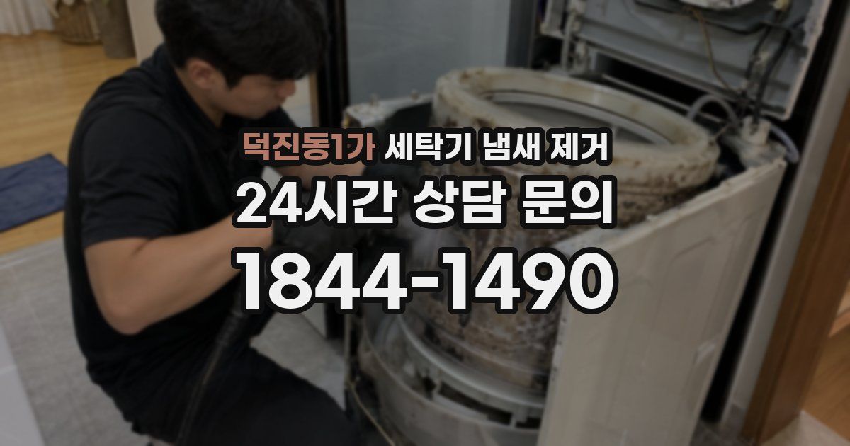 덕진동1가 세탁기 냄새 제거