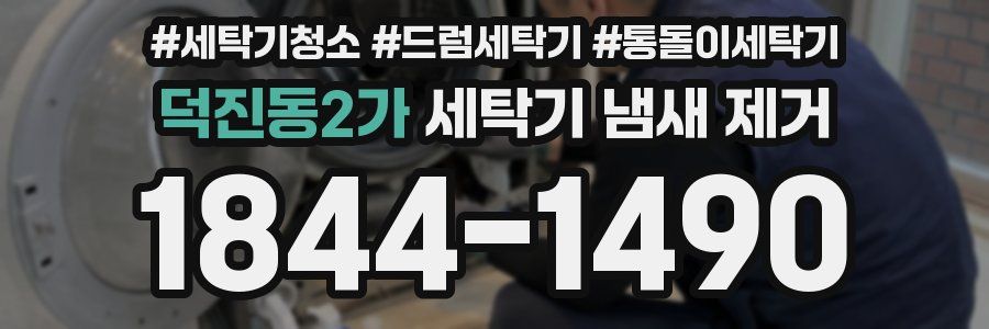 덕진동2가 세탁기 냄새 제거