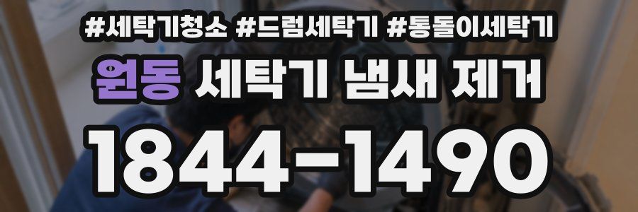 원동 세탁기 냄새 제거