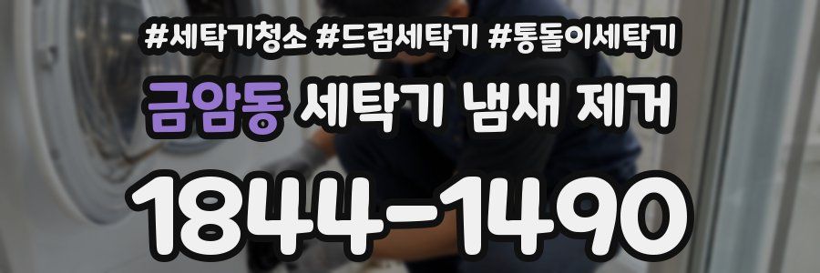 금암동 세탁기 냄새 제거