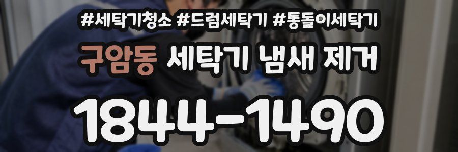 구암동 세탁기 냄새 제거