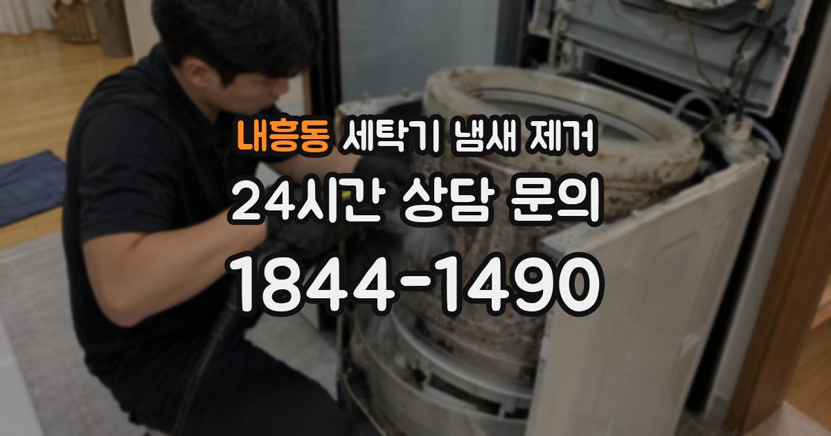 내흥동 세탁기 냄새 제거