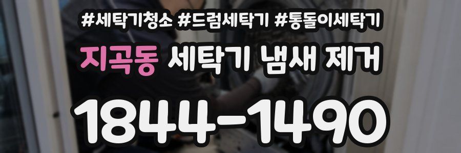 지곡동 세탁기 냄새 제거