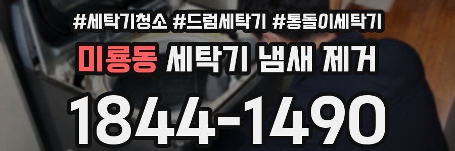 미룡동 세탁기 냄새 제거