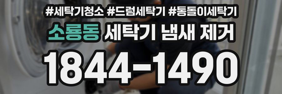 소룡동 세탁기 냄새 제거