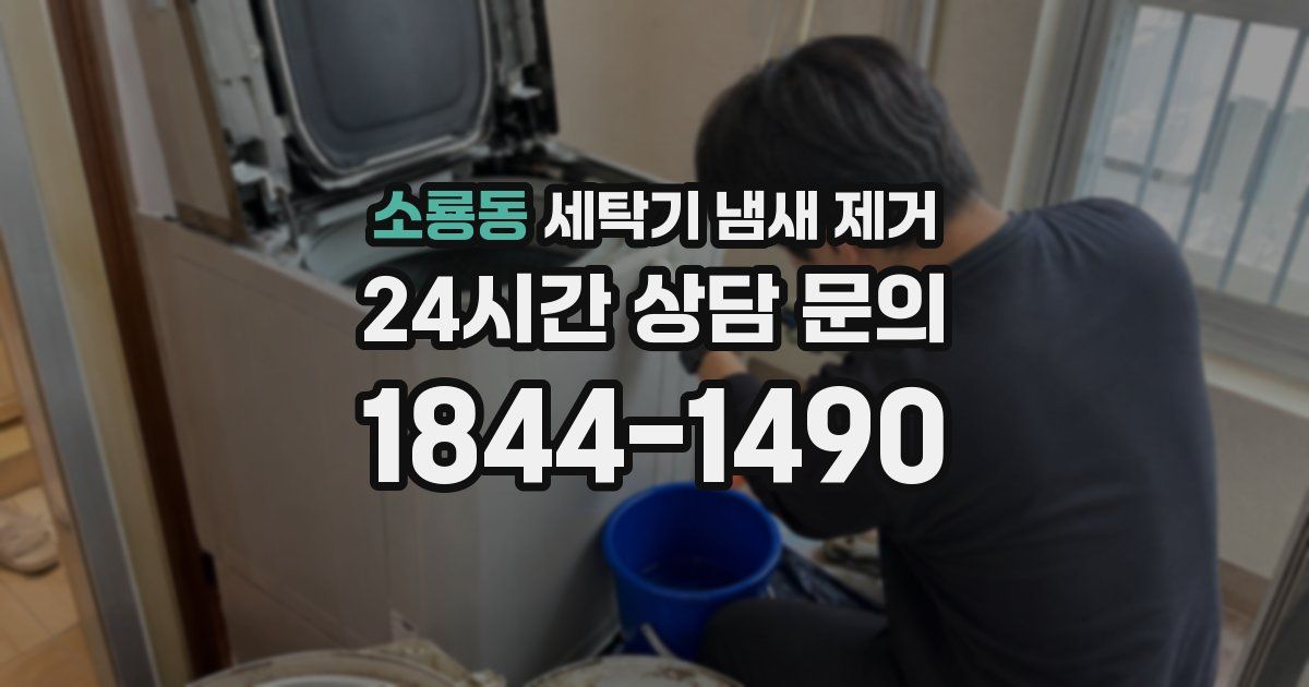 소룡동 세탁기 냄새 제거