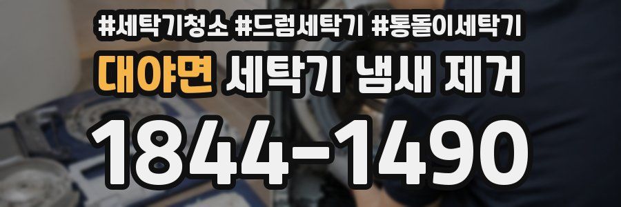 대야면 세탁기 냄새 제거