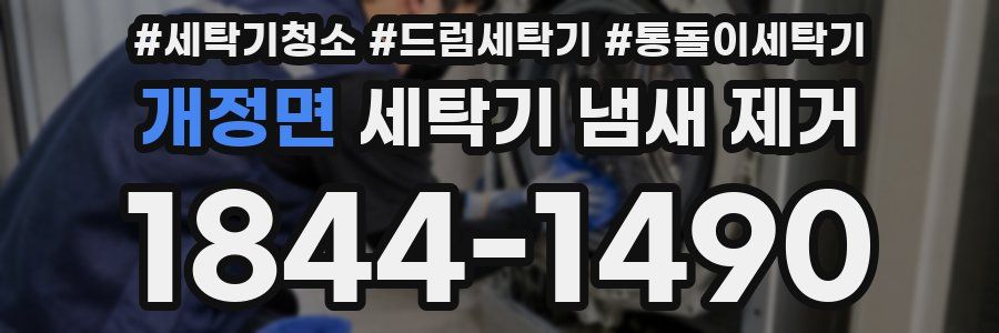 개정면 세탁기 냄새 제거