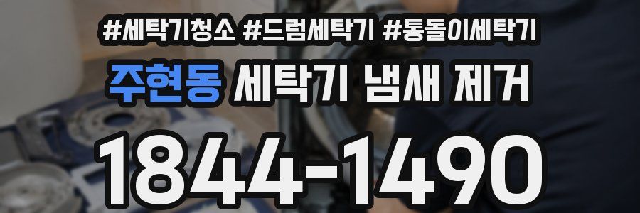주현동 세탁기 냄새 제거