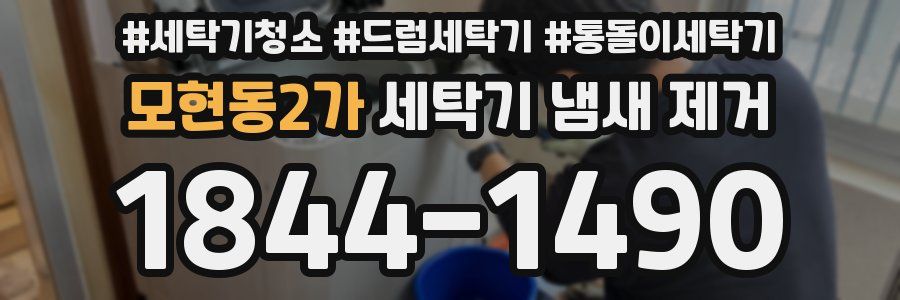모현동2가 세탁기 냄새 제거