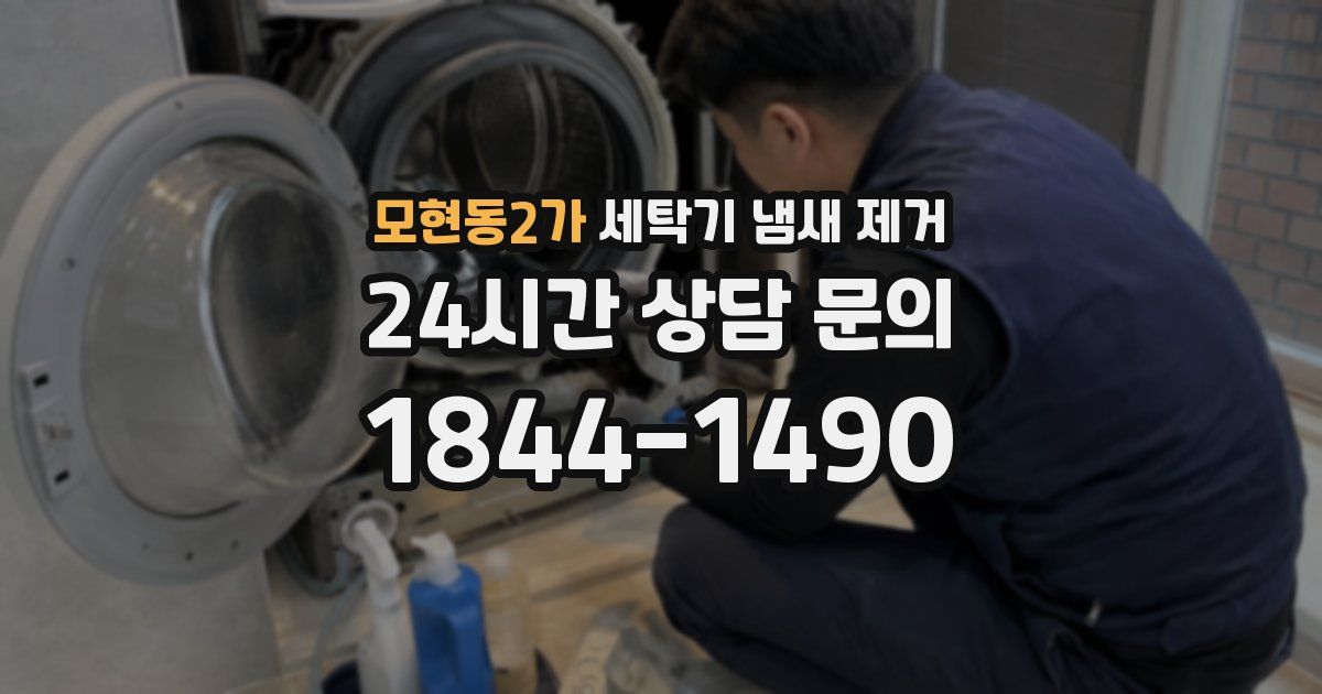 모현동2가 세탁기 냄새 제거
