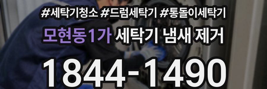 모현동1가 세탁기 냄새 제거