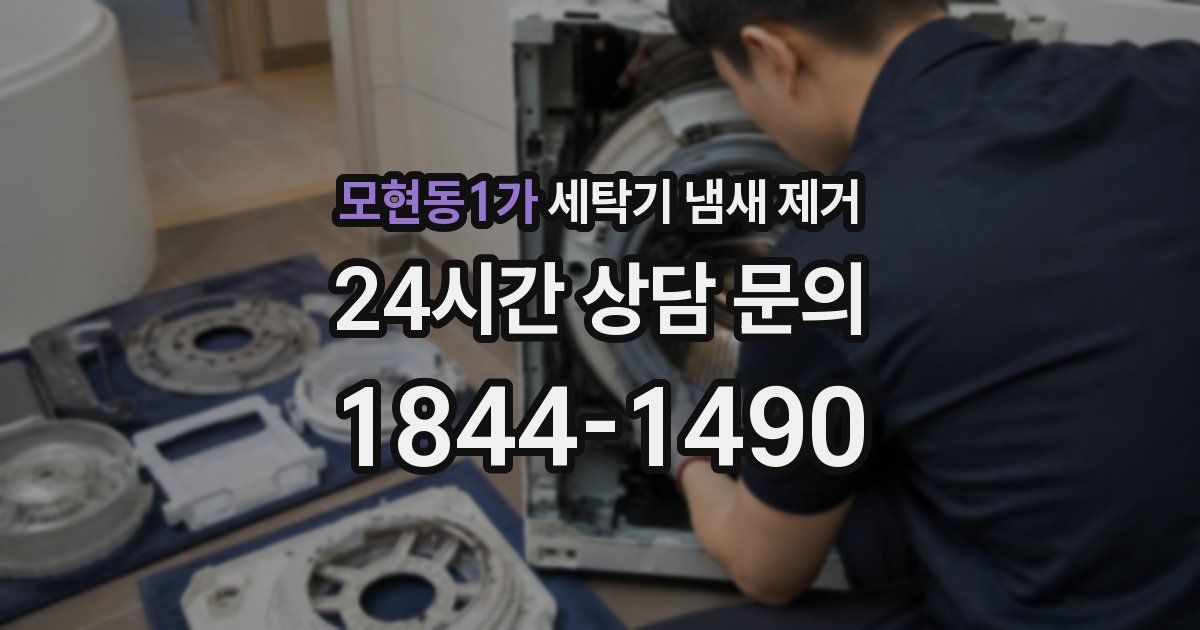 모현동1가 세탁기 냄새 제거