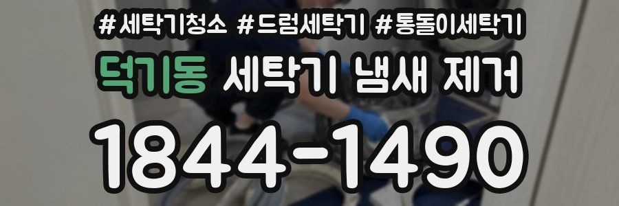 덕기동 세탁기 냄새 제거