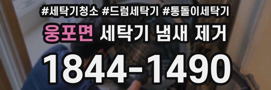웅포면 세탁기 냄새 제거