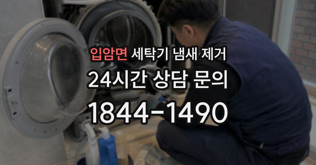 입암면 세탁기 냄새 제거