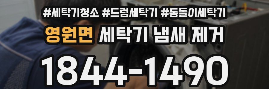 영원면 세탁기 냄새 제거