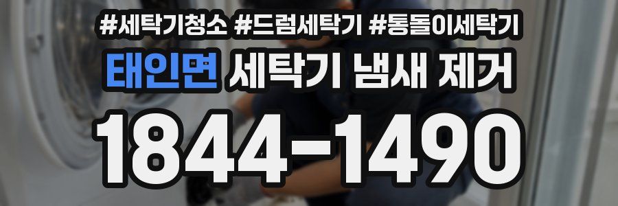 태인면 세탁기 냄새 제거