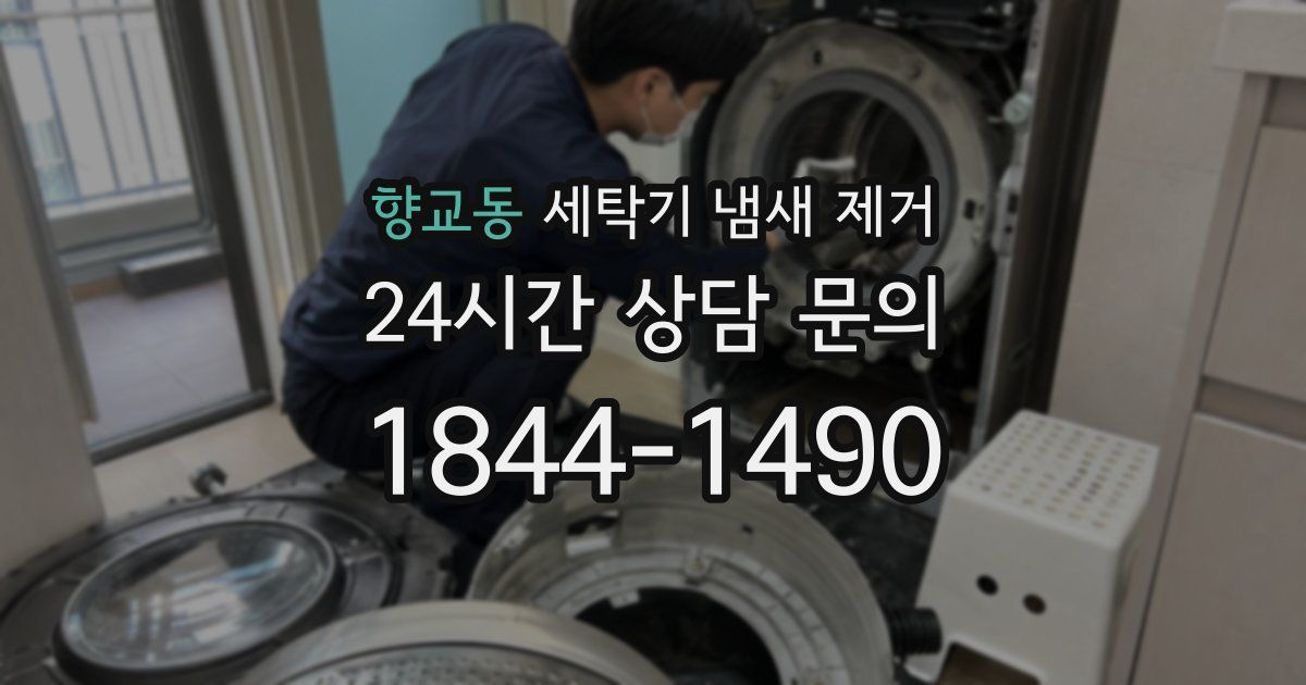 향교동 세탁기 냄새 제거