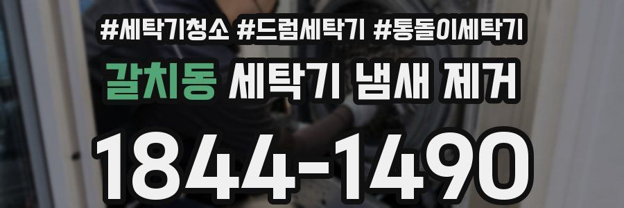 갈치동 세탁기 냄새 제거