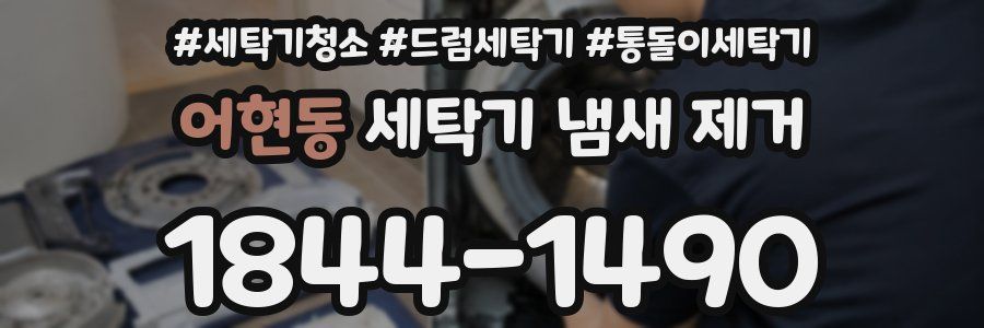 어현동 세탁기 냄새 제거