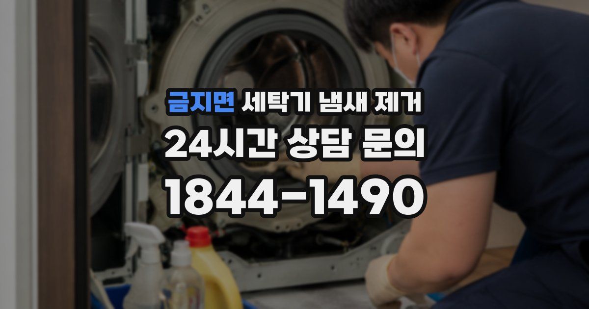 금지면 세탁기 냄새 제거