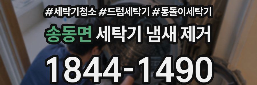 송동면 세탁기 냄새 제거