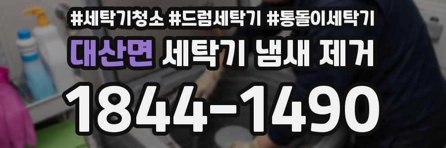 대산면 세탁기 냄새 제거