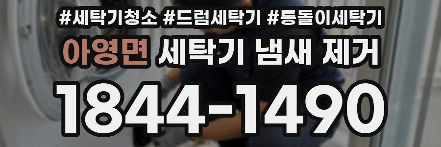 아영면 세탁기 냄새 제거