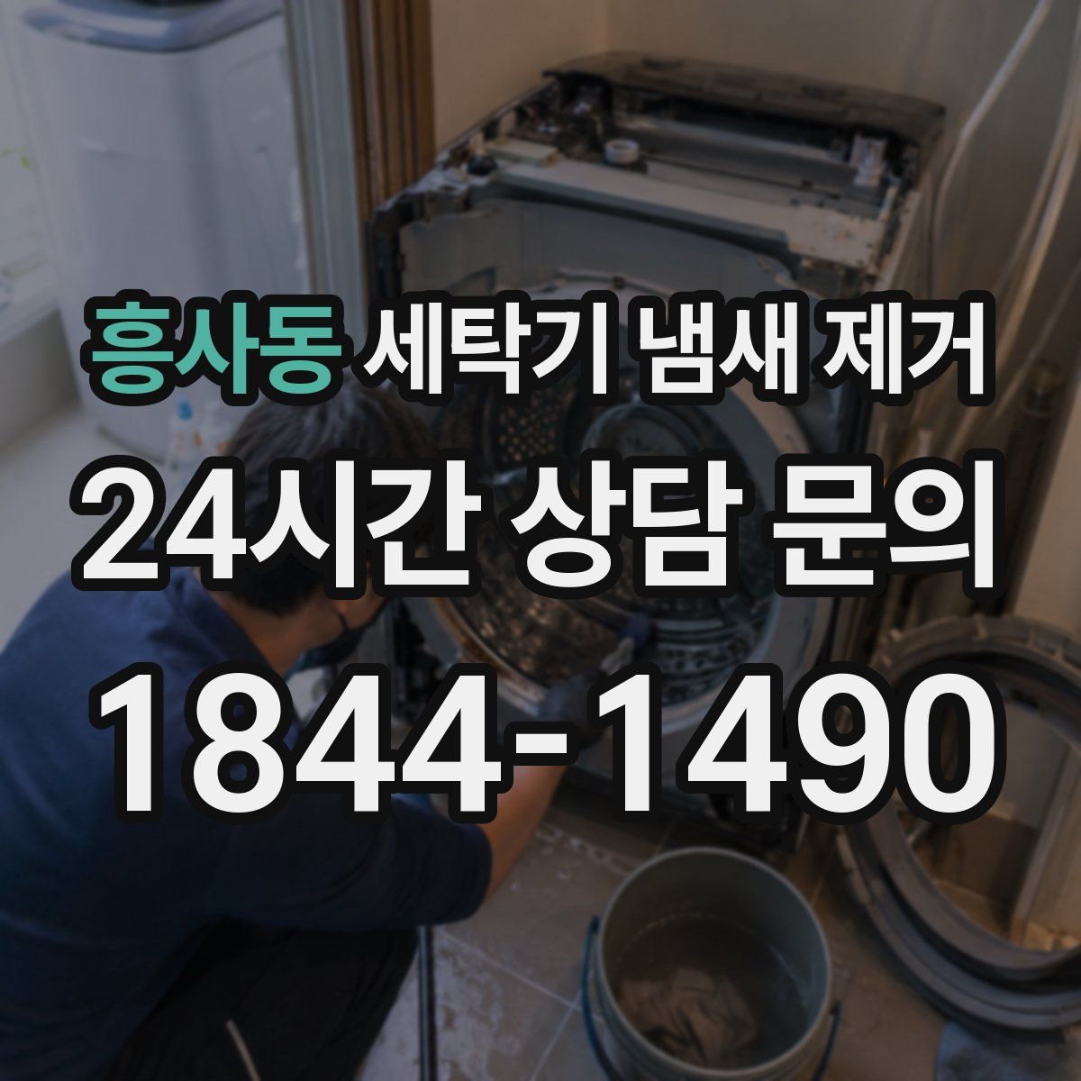 흥사동 세탁기 냄새 제거