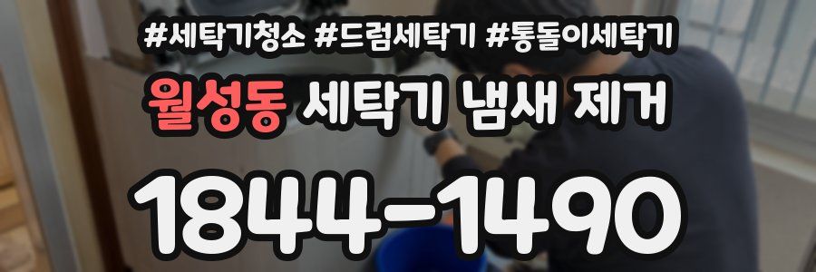 월성동 세탁기 냄새 제거