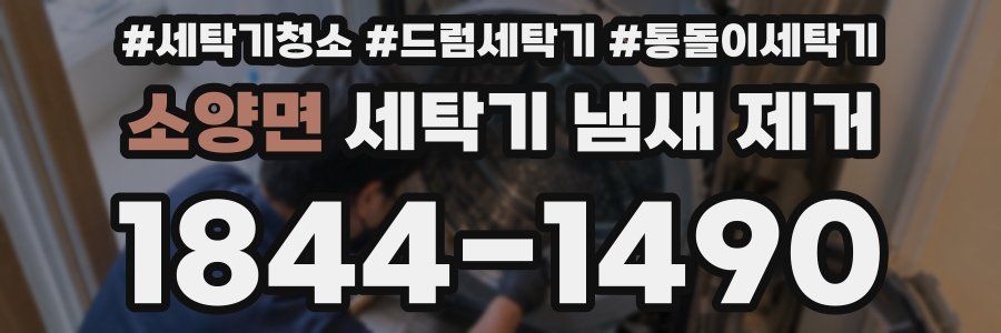소양면 세탁기 냄새 제거