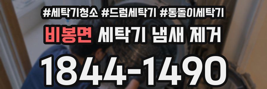 비봉면 세탁기 냄새 제거