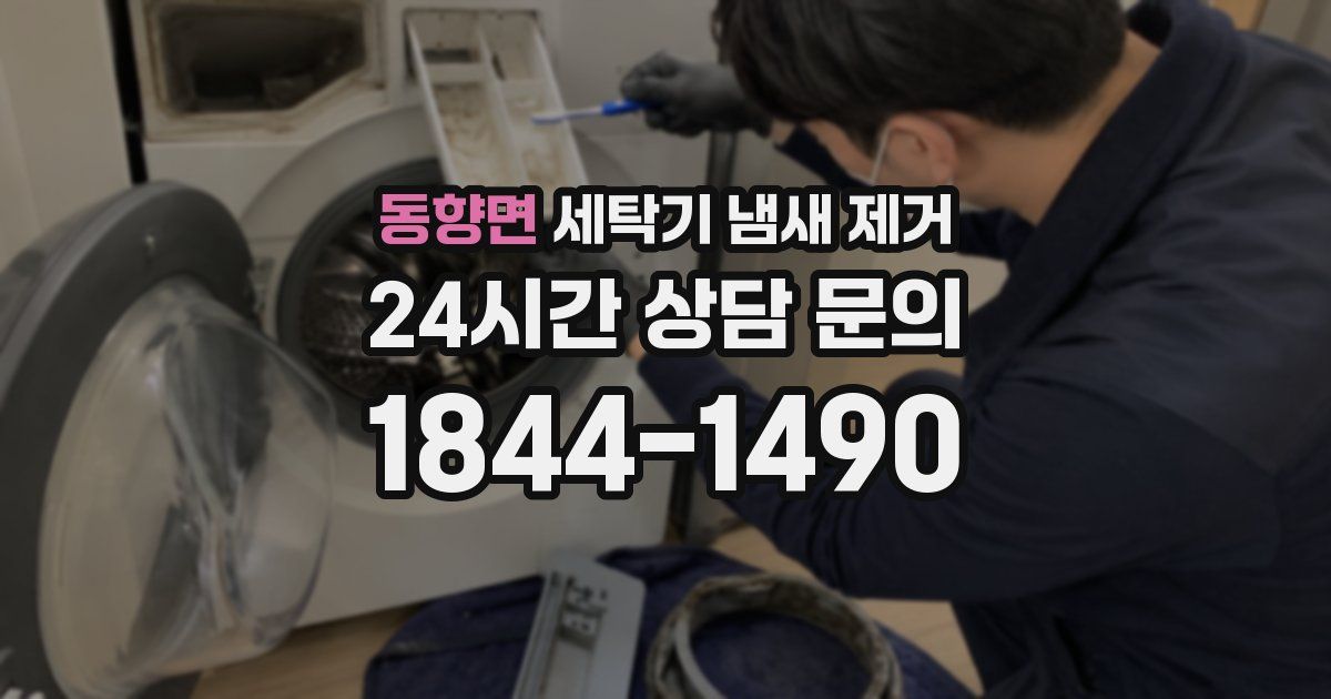 동향면 세탁기 냄새 제거