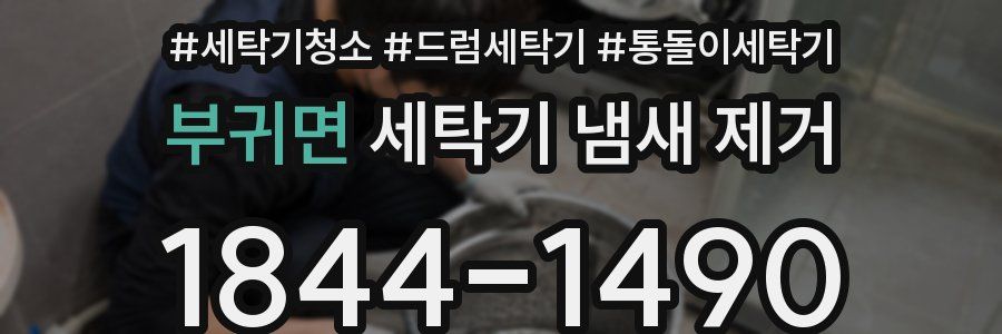 부귀면 세탁기 냄새 제거