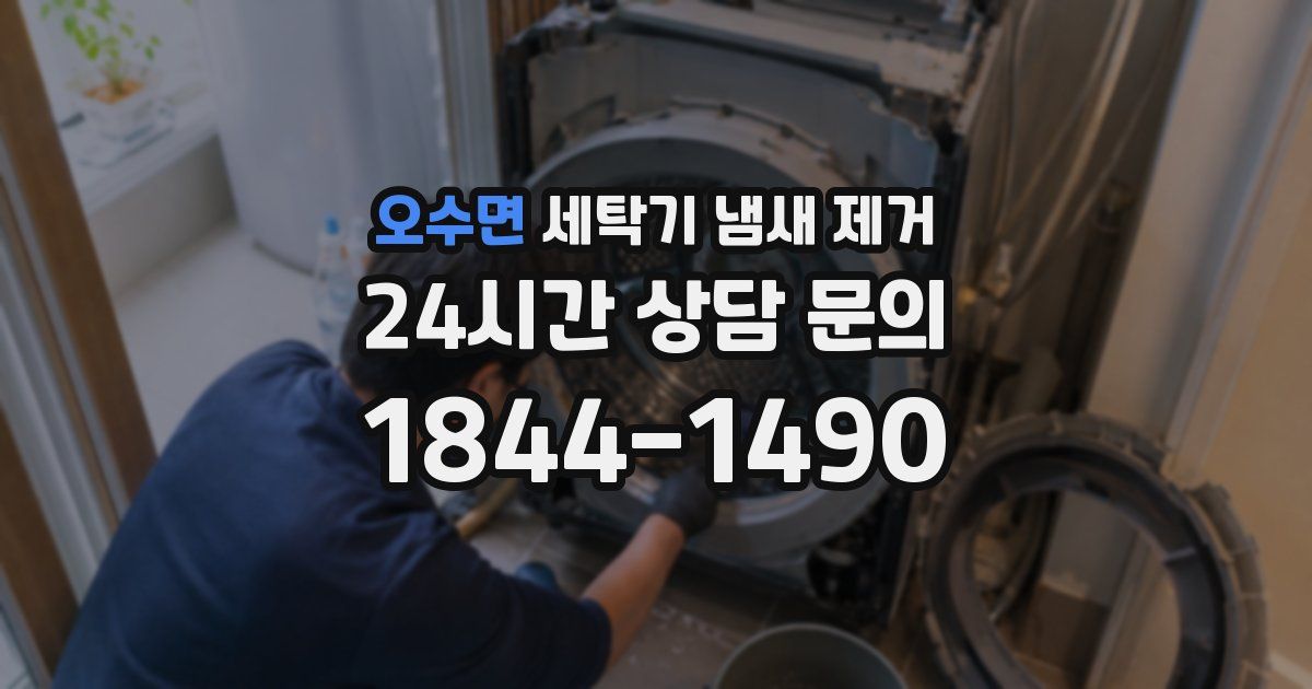 오수면 세탁기 냄새 제거
