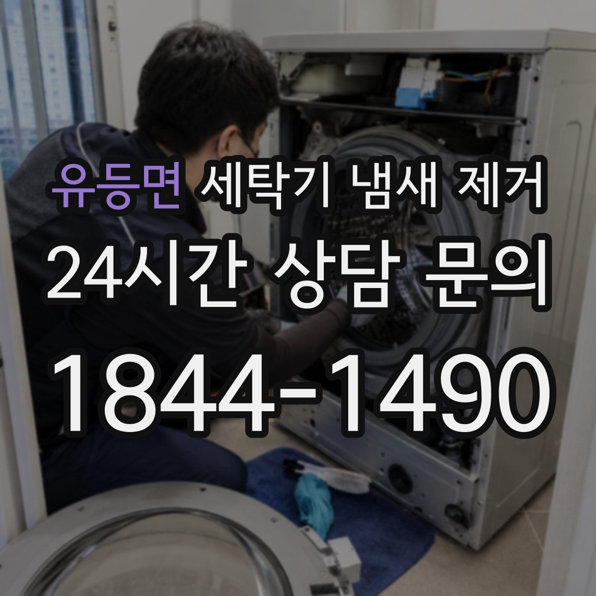 유등면 세탁기 냄새 제거