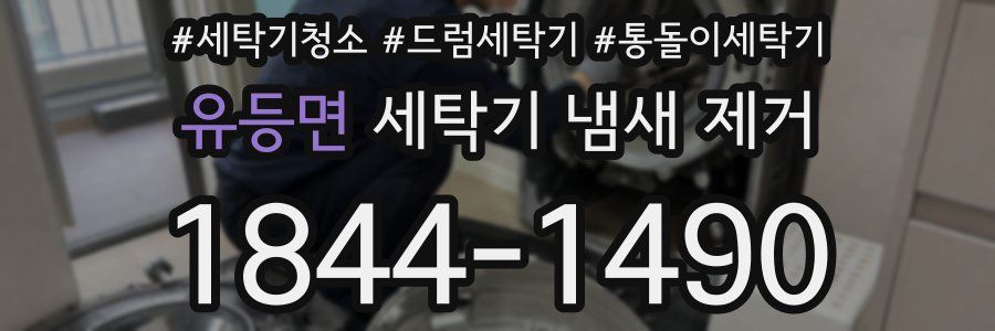 유등면 세탁기 냄새 제거