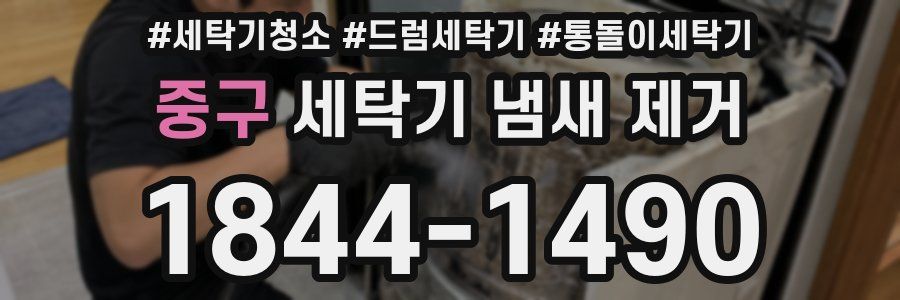 중구 세탁기 냄새 제거