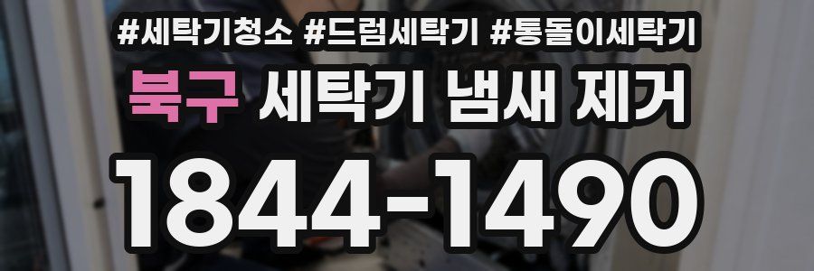 북구 세탁기 냄새 제거