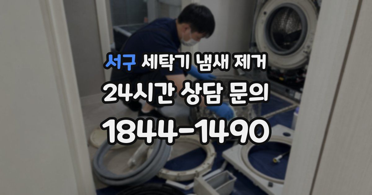 서구 세탁기 냄새 제거