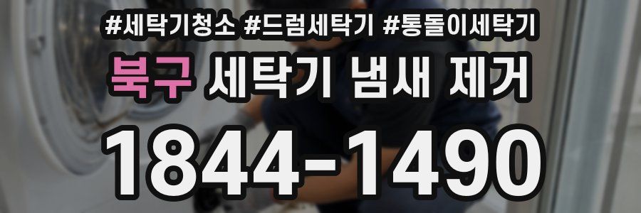 북구 세탁기 냄새 제거