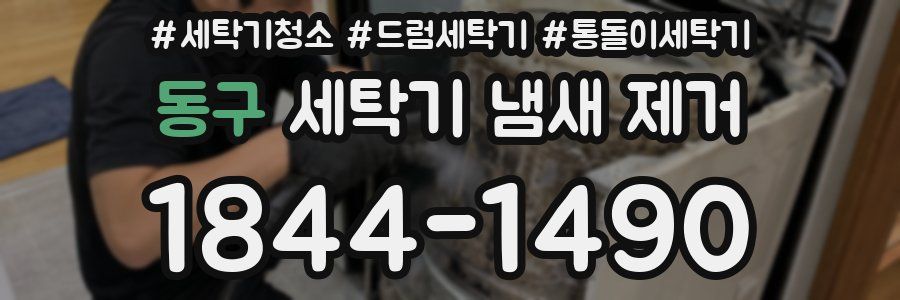 동구 세탁기 냄새 제거