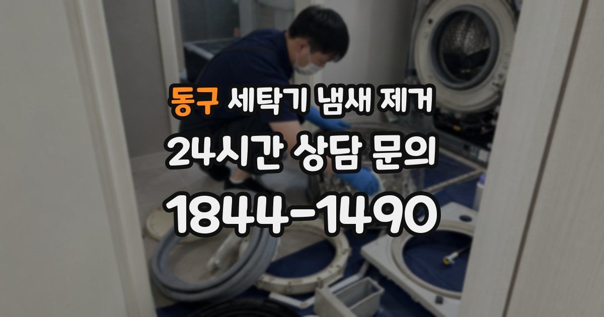동구 세탁기 냄새 제거