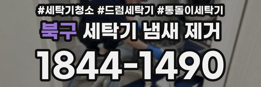 북구 세탁기 냄새 제거