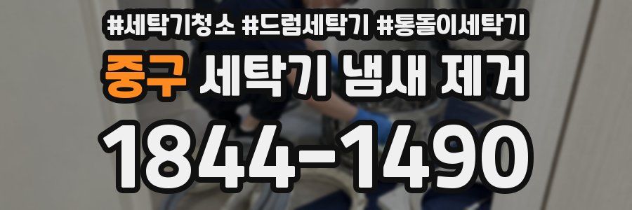 중구 세탁기 냄새 제거