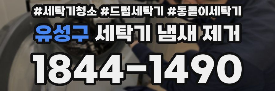 유성구 세탁기 냄새 제거